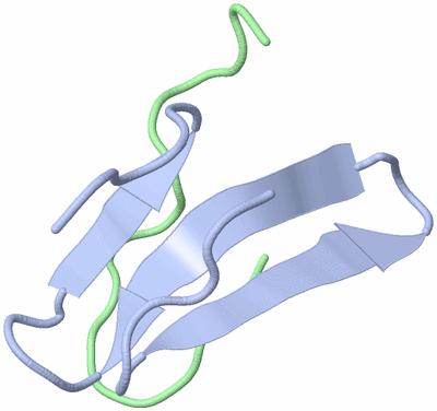 Image NMR Structure - model 1