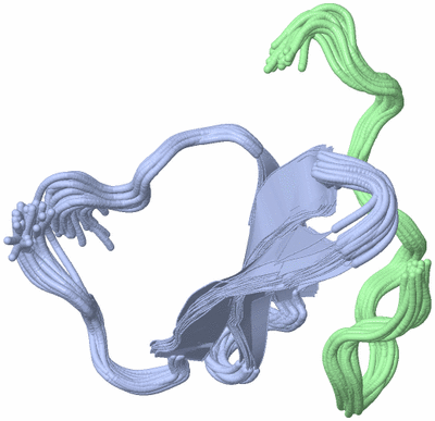 Image NMR Structure - all models