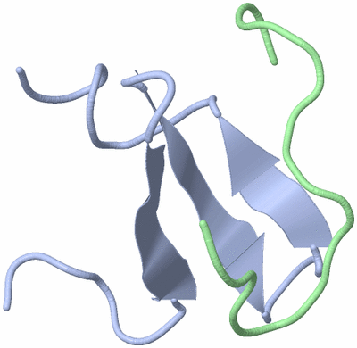 Image NMR Structure - model 1