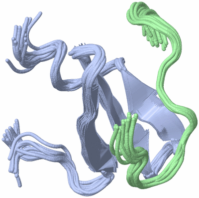 Image NMR Structure - all models