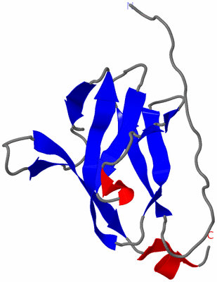 Image NMR Structure - model 1