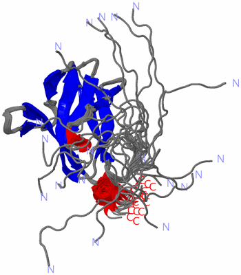 Image NMR Structure - all models