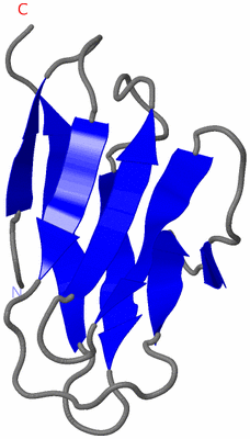 Image NMR Structure - model 1