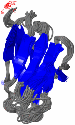 Image NMR Structure - all models