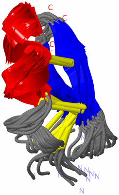 Image NMR Structure - all models