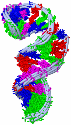 Image NMR Structure - all models