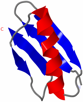 Image NMR Structure - model 1