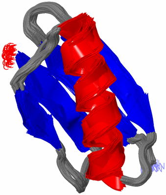 Image NMR Structure - all models