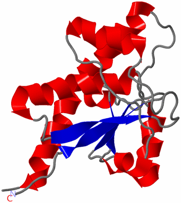 Image NMR Structure - model 1