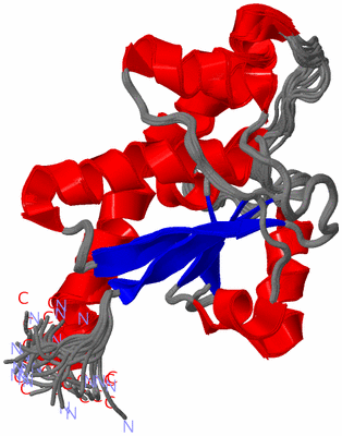 Image NMR Structure - all models