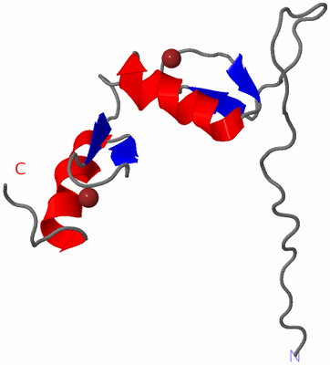 Image NMR Structure - model 1