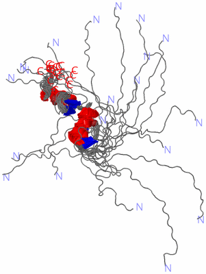 Image NMR Structure - all models