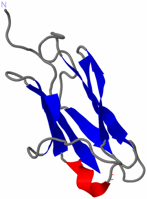 Image NMR Structure - model 1