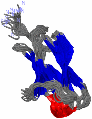 Image NMR Structure - all models