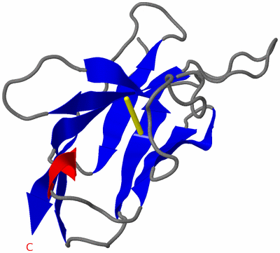 Image Asymmetric Unit