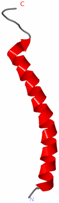 Image NMR Structure - model 1