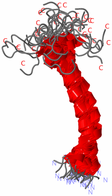 Image NMR Structure - all models