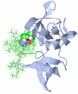 Image NMR Structure - model 1