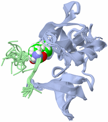 Image NMR Structure - all models