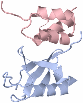 Image NMR Structure - model 1