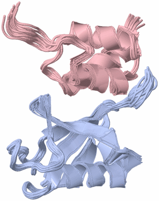 Image NMR Structure - all models