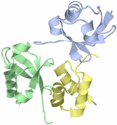 Image NMR Structure - model 1