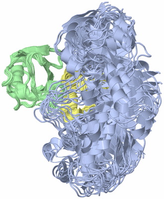 Image NMR Structure - all models