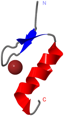 Image NMR Structure - model 1