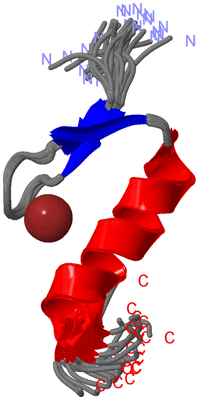 Image NMR Structure - all models