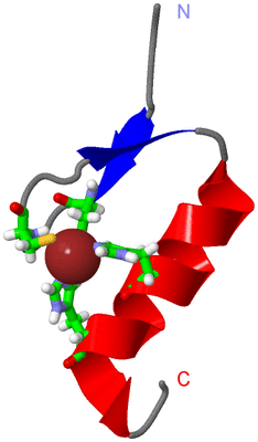 Image NMR Structure - model 1, sites