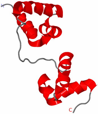 Image NMR Structure - model 1