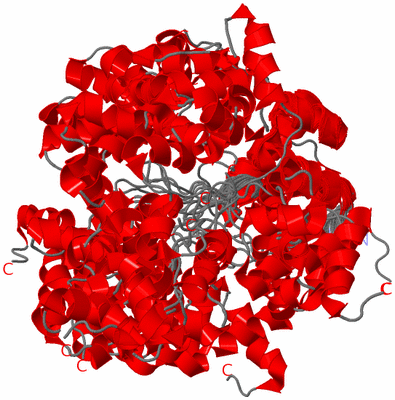 Image NMR Structure - all models