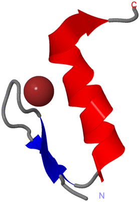 Image NMR Structure - model 1