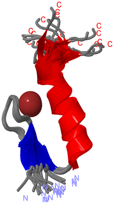 Image NMR Structure - all models