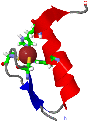 Image NMR Structure - model 1, sites