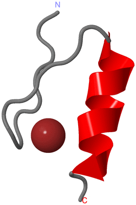 Image NMR Structure - model 1