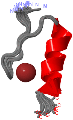 Image NMR Structure - all models