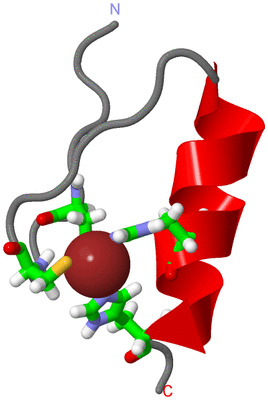 Image NMR Structure - model 1, sites