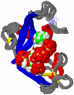 Image NMR Structure - all models