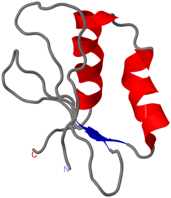 Image NMR Structure - model 1