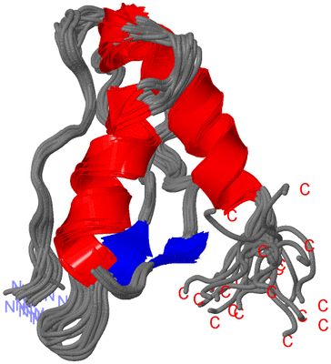 Image NMR Structure - all models