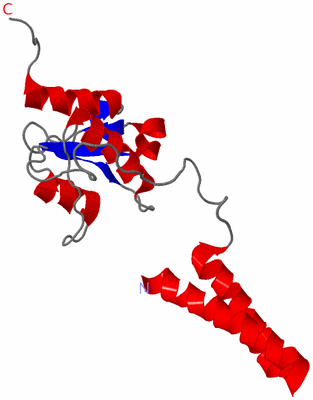 Image NMR Structure - model 1