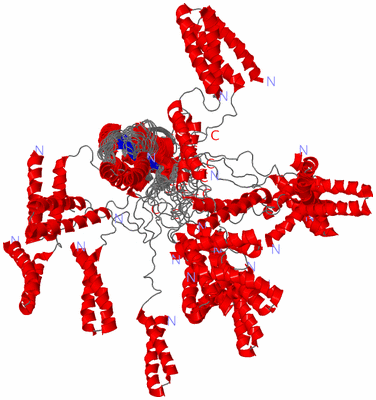 Image NMR Structure - all models