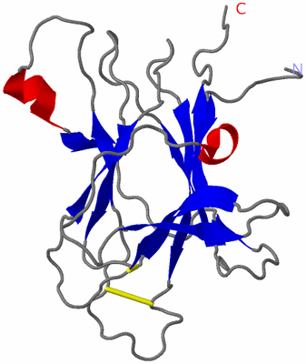 Image NMR Structure - model 1