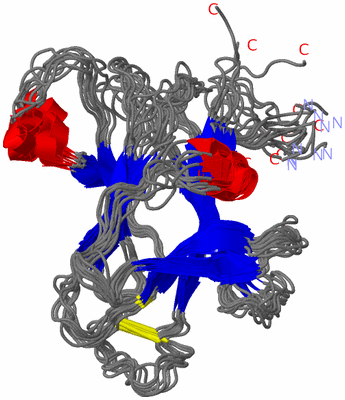 Image NMR Structure - all models