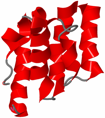 Image NMR Structure - model 1