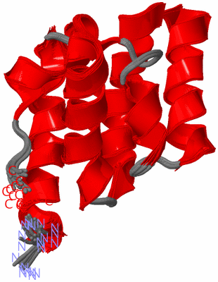 Image NMR Structure - all models