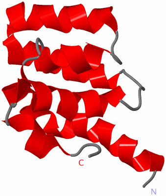 Image NMR Structure - model 1