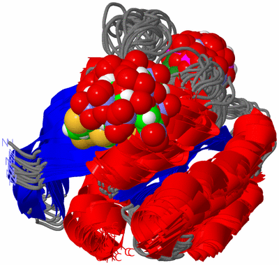 Image NMR Structure - all models