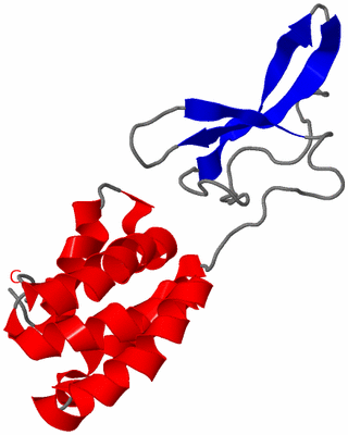 Image NMR Structure - model 1